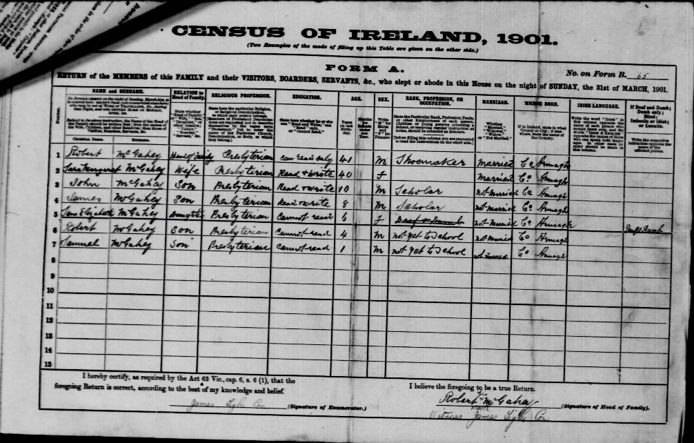 Irish census, 1901, sample image from Irish Ancestors website.