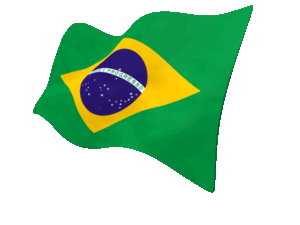 brazil_flag_perspective_anim_300_clr_3734