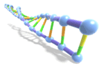 DNA and genealogy