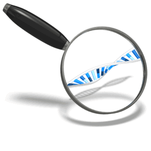dna_magnifying_glass_300_wht_8959