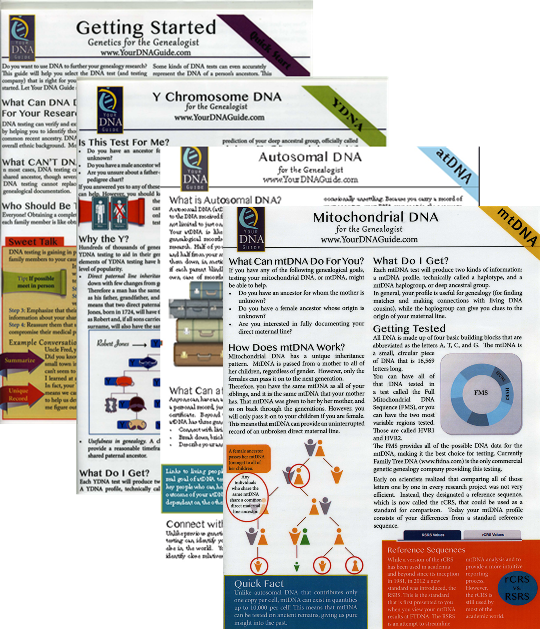 Genealogy DNA Quick Reference Guides Cheat Sheets
