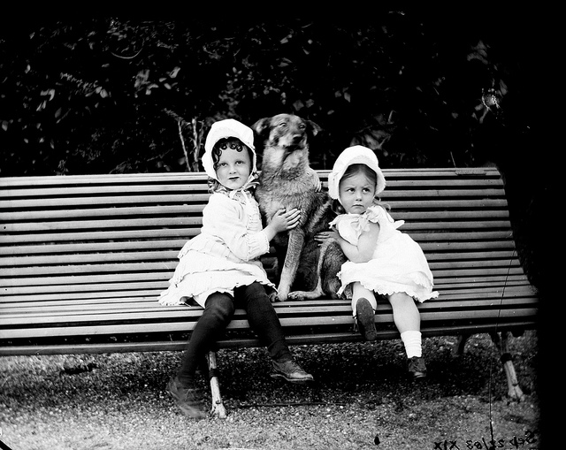 Why Your Genealogy Research Could be Going to the Dogs