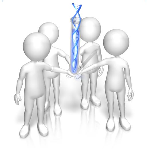DNA YDNA genetic genealogy social networking 