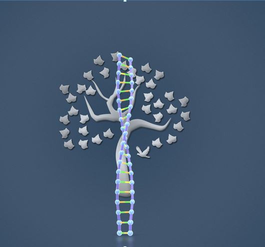 AncestryDNA Works Toward Genetics + Genealogy Integration