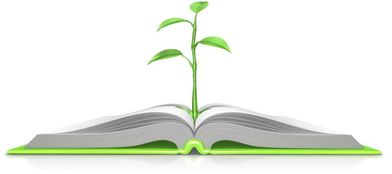 plant_growing_out_of_book_800_wht_9084
