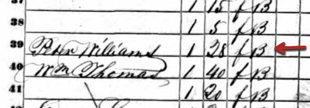 Peter Williams entry in 1850 U.S. Census Slave Schedule, St Bartholomews Parish, Colleton, South Carolina. Image from Ancestry.com.