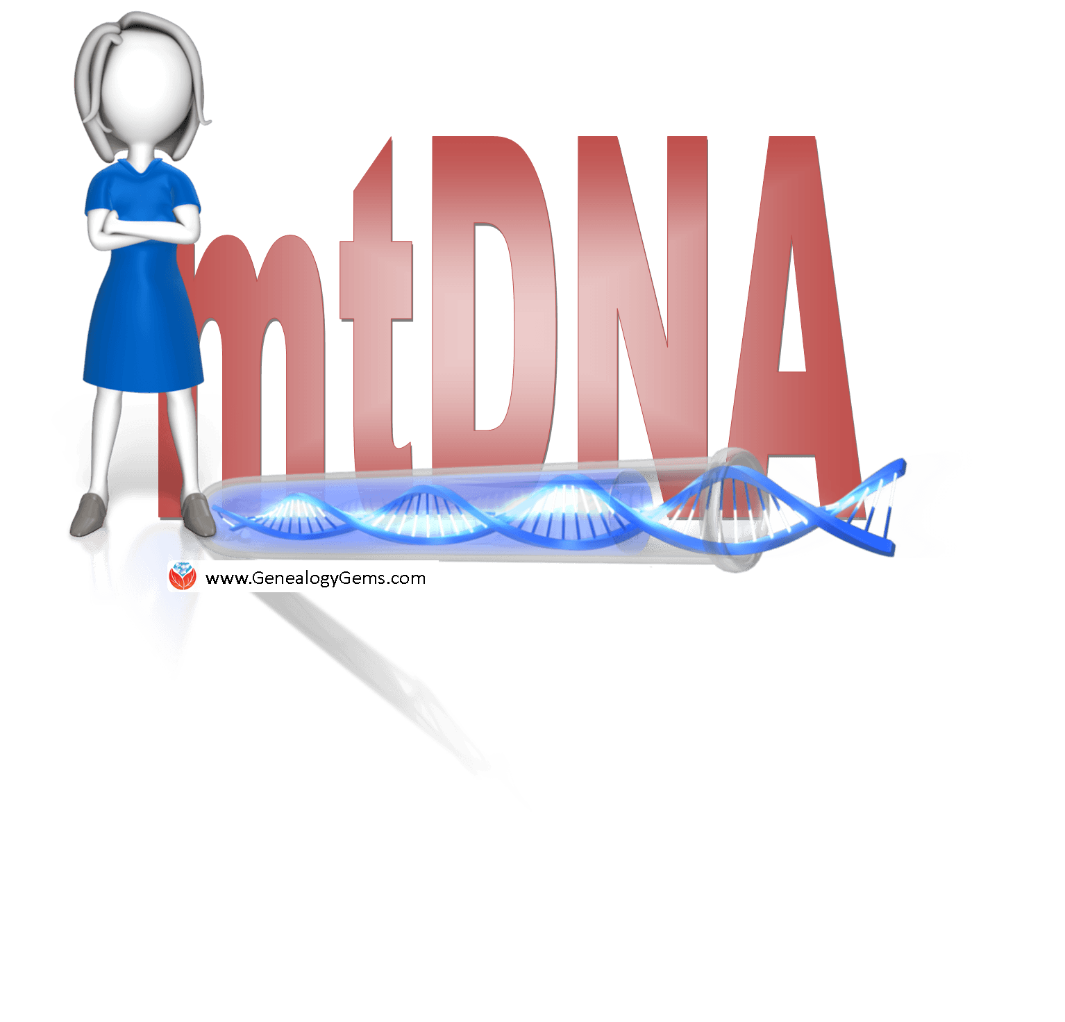 When to Do an mtDNA Test for Genealogy