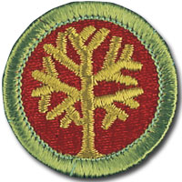 Genealogy 4H Projects and Merit Badges Earn Special Recognition