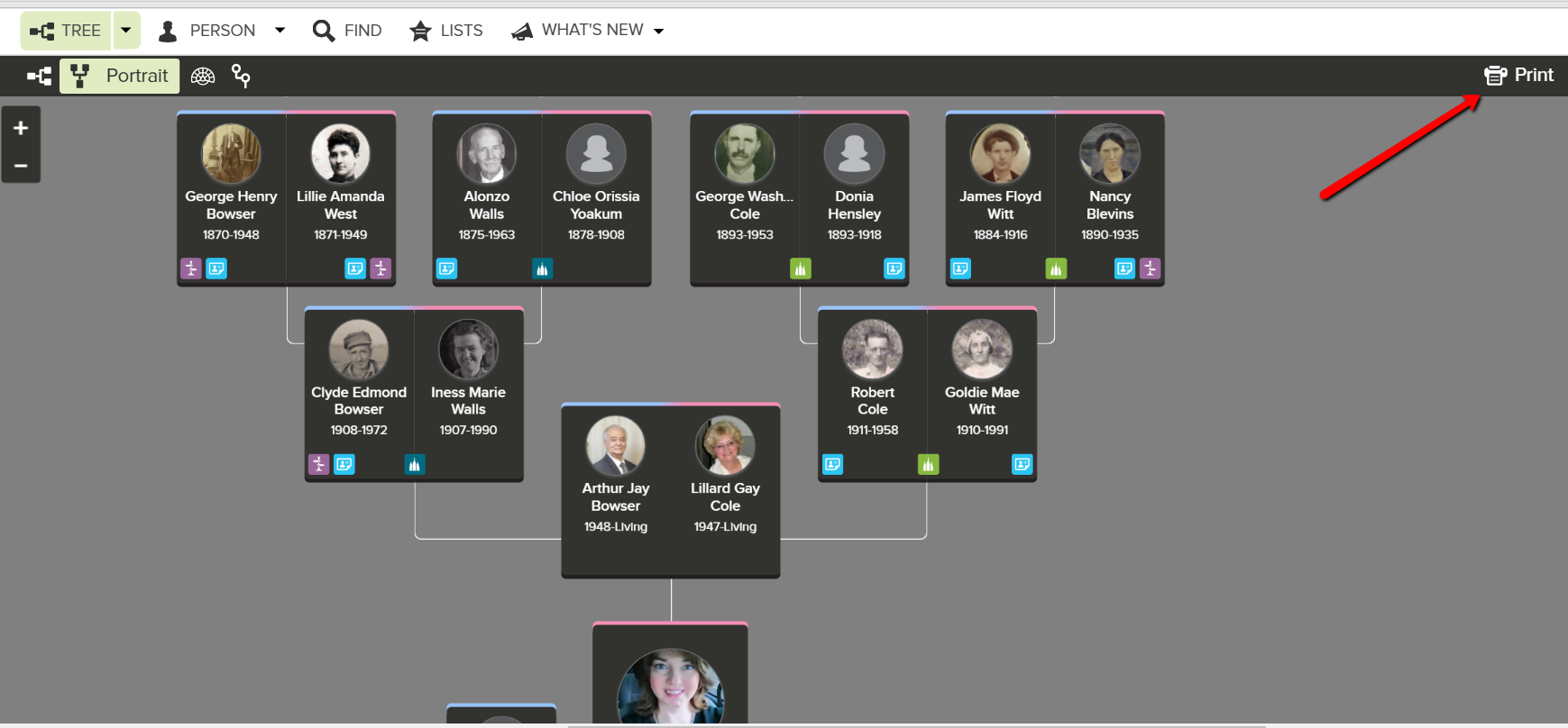 family tree chart in portrait view