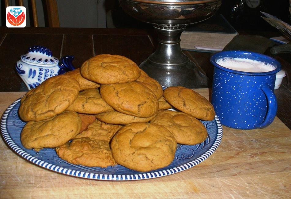 Victorian Holiday Recipe: Coasting Cookies
