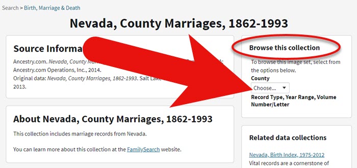 Filter browse only genealogy record collection at Ancestry