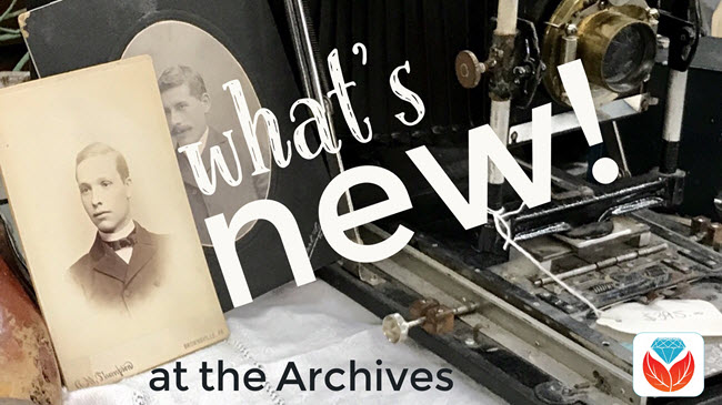 new archival collections
