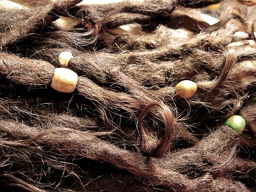 mtDNA Testing for Genealogy: A Study on Ancient Ponytails