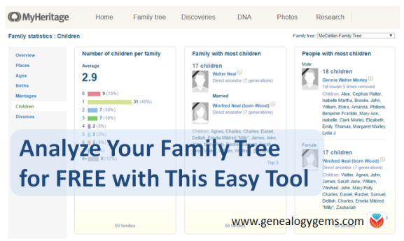 Analyze Your Family Tree for Free with This Easy Tool